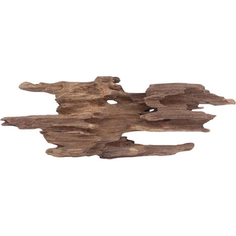 M Honey Comb Wurzel Nr.3749 Holz Deko Aquascaping
