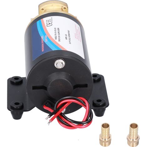 Mini pompe à huile électrique, accessoires d'extraction de changement auto-amorçants, 12,0 L/min, levage de 3 mètres (F70-101-012-101 (12 V) ) F70-101-012-101 (12 V) (1/5)