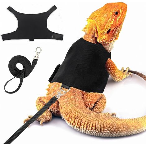 Harnais et laisse pour reptiles (1/5)