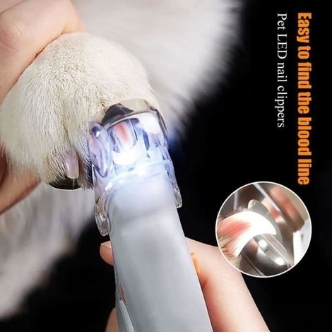 Professionnel coupe-ongles pour animaux de compagnie ciseaux chien chat ongles orteil griffe tondeuses ciseaux lumière
