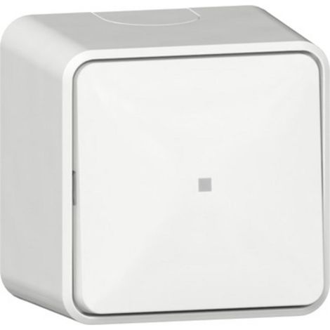 Schalter Gira 311613 mit Montageplatte weiß