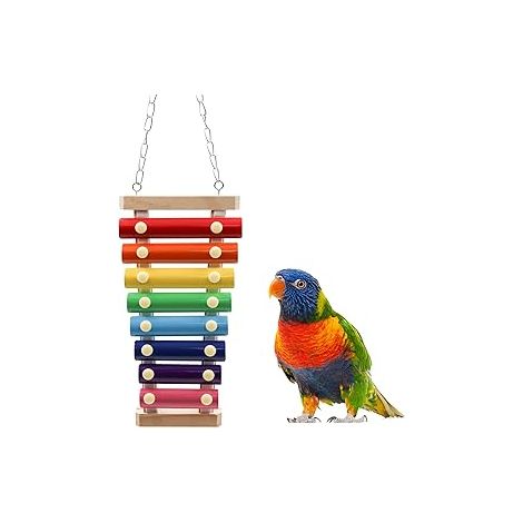 xylophone jouet oiseau, xylophone jouet amusant à suspendre pour cage à oiseaux (1/5)