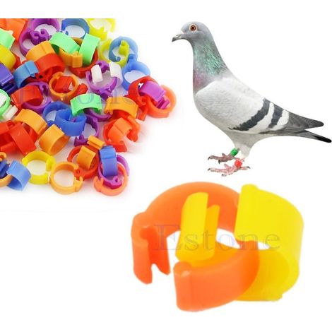 100 Pcs Bird/Pigeon Foot Rings/Pin Identification Rings for Bird Feet, Random Color (Plastic) (1/5)