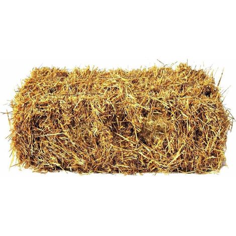 TrAdE Shop Traesio - Paglia Colore Legno Da 1kg Per Decorazioni Addobbi Presepe Cesti Da Regalo - (1/2)
