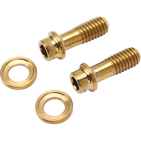 Satz mit 4 Titanlegierungsschrauben für SRAM-Bremsscheiben – Rennrad-Upgrade – RT121 Gold Zubehör (1/5)