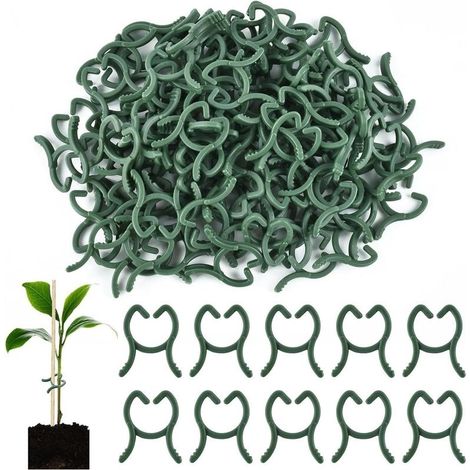 Lot de 100 clips pour plants de tomates et de concombres, réutilisables en polypropylène. (1/5)