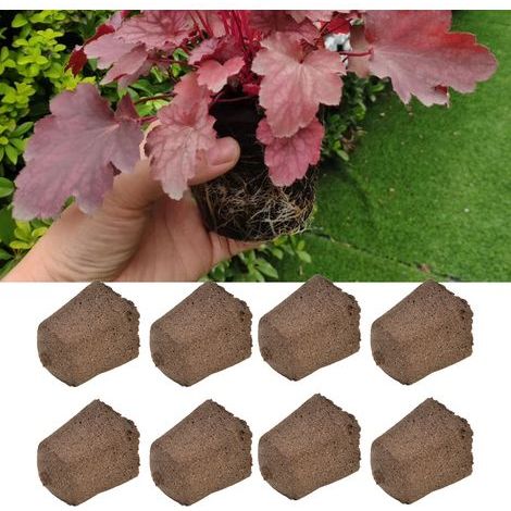 50 tapones de germinación Environet para iniciar semillas, hidroponía y cultivo en tierra. (1/5)