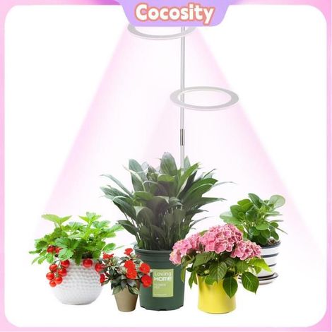 Cocosity Lumière de croissance des plantes Lampe de culture LED pour plantes d'intérieur, complet, double tête, avec piscine gazon (1/5)