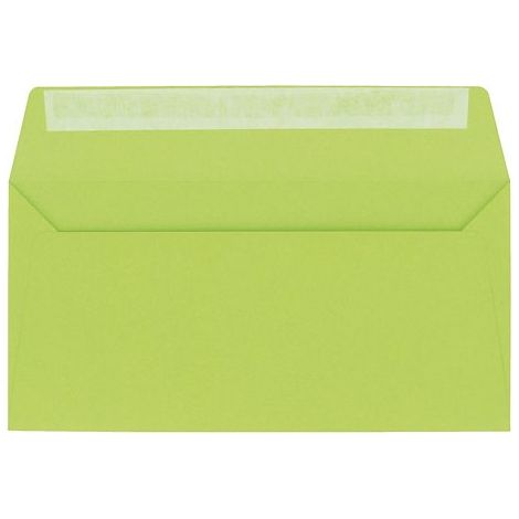 Enveloppe Pollen Clairefontaine vert bourgeon 110 x 220 mm - Paquet de 20