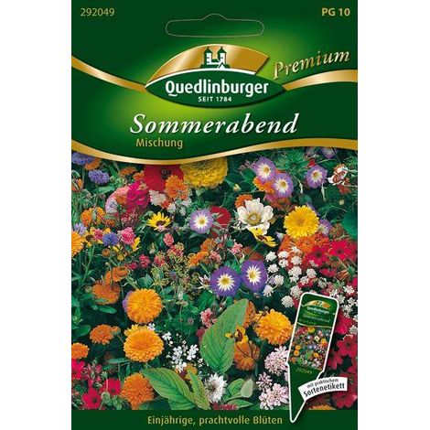 Quedlinburger Sommerabend Mischung - Blumensamen