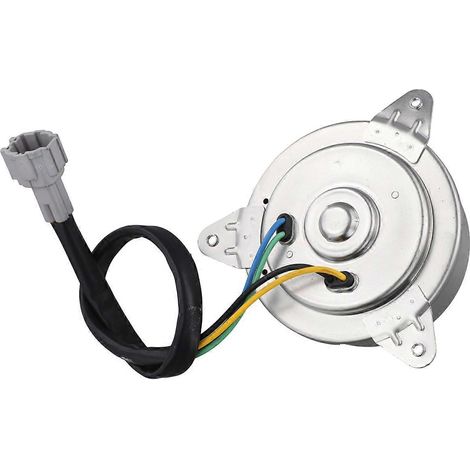 Moteur de ventilateur de refroidissement de radiateur 45131FE030 pour Baja 2002-2007 45131FE010 (1/5)