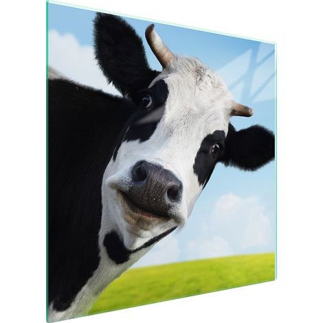 PLACA PROTECTORA DE VIDRIO PARA ESTUFA 50x52 VACA (1/5)