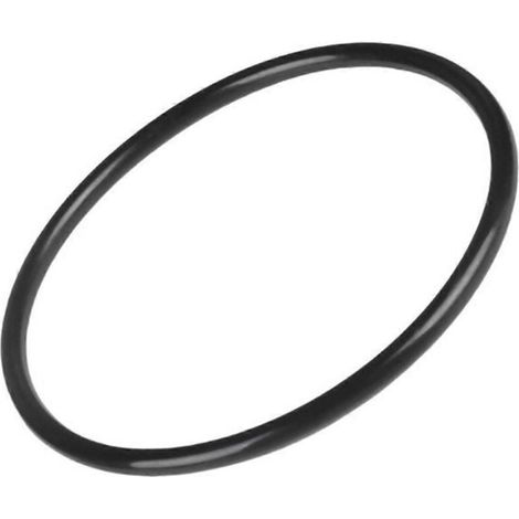 Joint torique de tête de filtre pour SwimClear C100S/C150S/C200S (1/5)