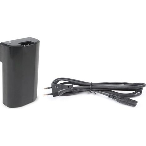 Batterie lithium-ion 12 V avec chargeur pour mégaphones