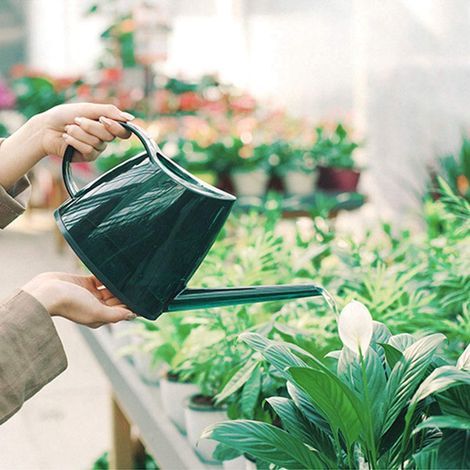 Arrosoir Petit Jardin Pulvérisateur Fleur Pot Couvert à la Mode avec Watering Can à Long Bec de Couleur Bonbon pour Intérieur, Rxtérieur, Bureau, Jardinage 1.2L(Vert) (1/5)