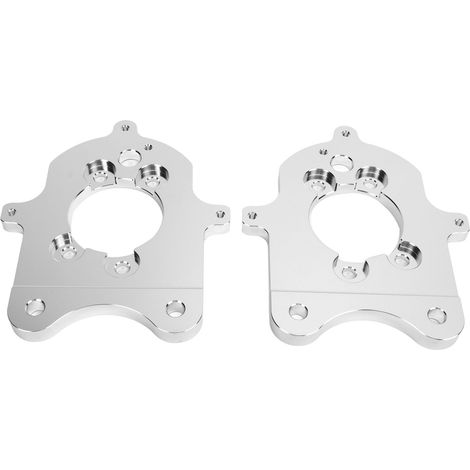 Hintere Bremssattel-Montagehalterung F4ZC 2C100 BA, Scheibenbremsenumbau für Ford Mustang SN95 Cobra GT/V6 (1/5)