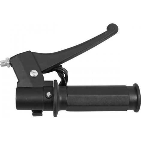 Gasgriff P2R für Moped Piaggio 50 Ciao PX vor 2020, neu (1/4)