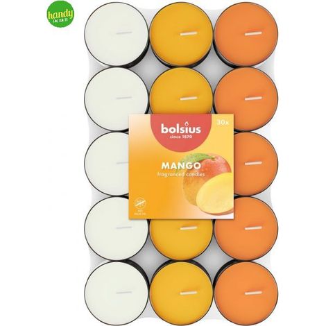 Tealight 30pz 3.5H mango Bolsius (1/2)