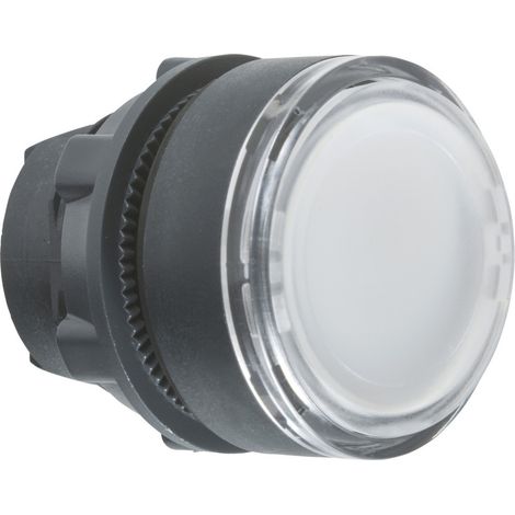 Interrupteur Schneider Electric zb5aa18 LED universel IP66 (1/2)