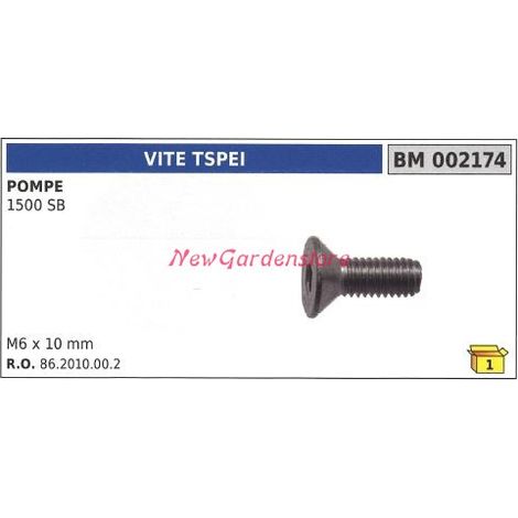 Vite TSPEI UNIVERSALE pompa Bertolini 1500SB 002174