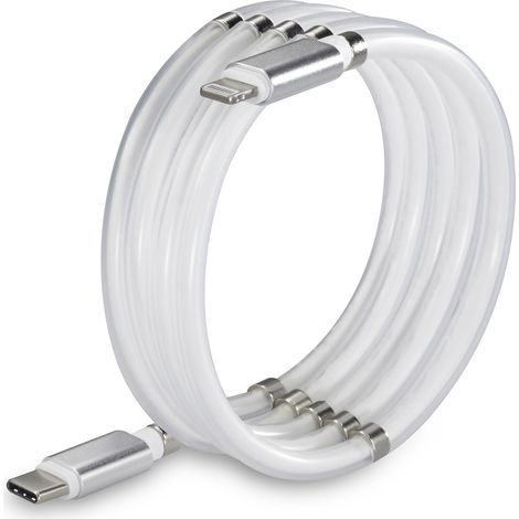 Renkforce USB-Kabel  USB 2.0 USB-C® Stecker, Apple Lightning Stecker 2.00 m Weiß  TO-6886782