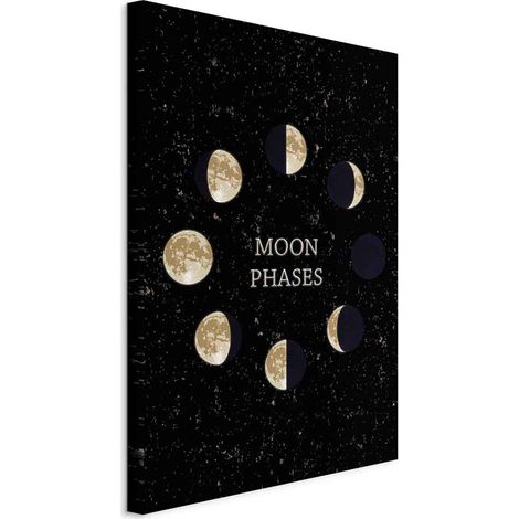 Immagine - Ciclo lunare (1 parte) verticale (1/5)