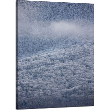 Leinwanddruck Natur Wald im Schnee 50x70 cm