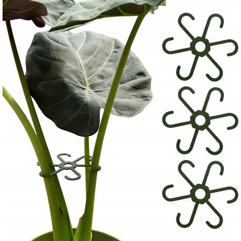 Soporte para plantas y flores. Soportes de agarre fuerte. Tamaño S. 10 cm x 3. (1/5)