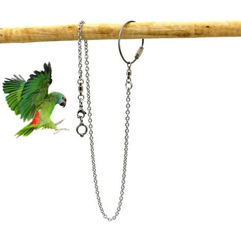 Bird Cage Accessories Parrot Foot Ring Stainless Steel, Parrot Foot Ring Chain, Opening Activity Chain for Cockatiel Cockatoo Sun Monk Parakeet Bird Stand Anklet(Length 50cm,Inner Hole 5.5mm) (1/5)