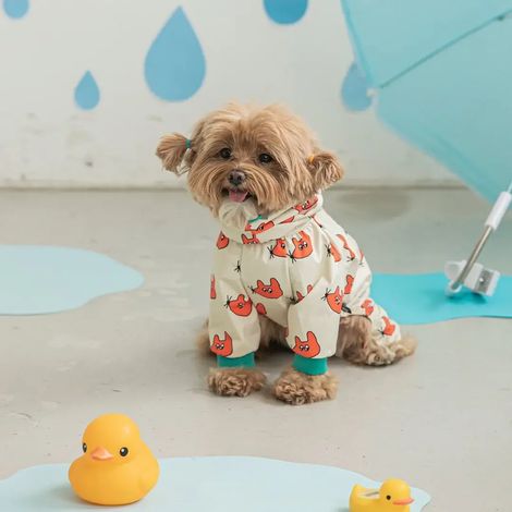 Pyjamas pour chiens printemps-été - vêtements pour chiens de petite et moyenne taille - mâles et femelles - pyjamas doux et mignons pour chiots - grenouillères pour chiens - pyjamas pour chats (blancs