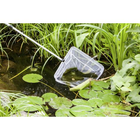 Teichkescher "POND NET 35 cm (1/2)