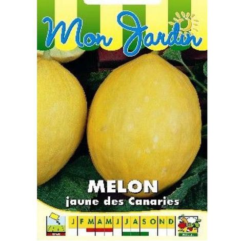 Melon 'Jaune canari' le sachet de 75 graines (3g) (1/2)