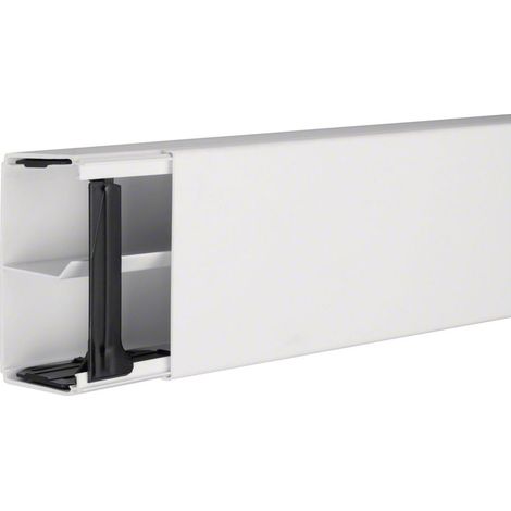 Tehalit Leitungsführungskanal LF 60x110mm vw LF6011109016 2 Stk (1/4)