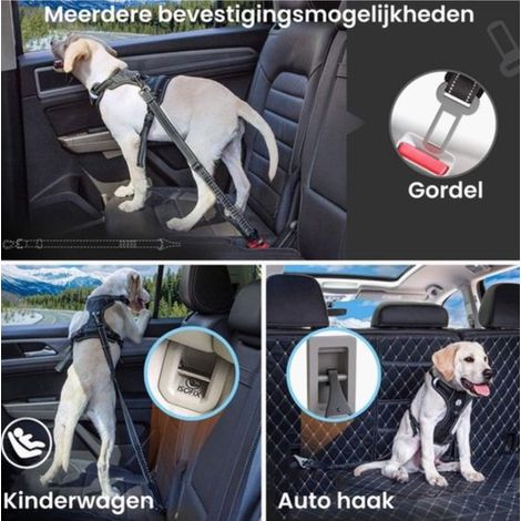 Ceinture de sécurité pour chien avec mousqueton ultra-résistant. Plusieurs options de fixation. (1/5)