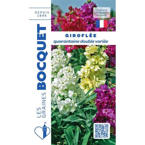 Giroflée quarantaine double variée - 0,5g