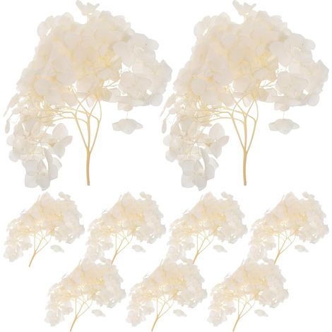 Hortensia Séché Fleurs Pétales Hortensia Stabilisés Confettis Naturels pour Décoration de Mariage et Loisirs Créatifs (1/5)
