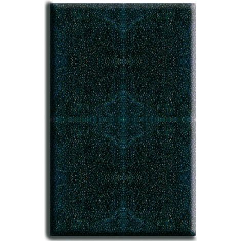 Cartouche filtre éponge pour filtre Niagara 370