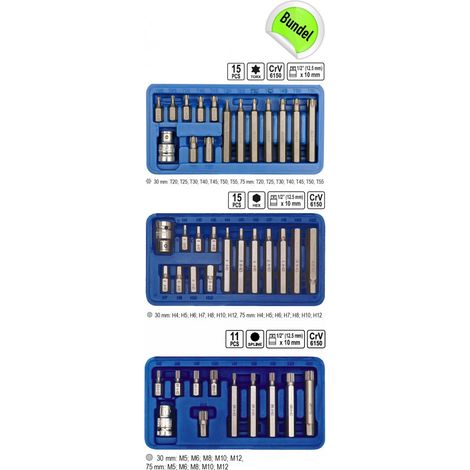 Bitsatz Hex Vielzahn Torx 41 Tlg. (1/5)