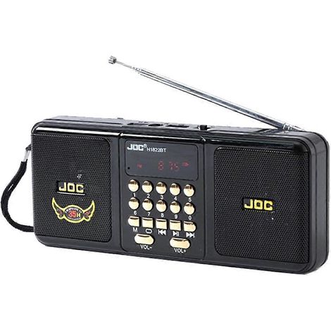 JOC Enceinte Bluetooth avec FM Radio USB Carte TF Support et sans Fil Connectivity Radio pour Personnes Âgées Noir (1/5)