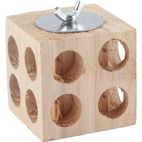 Bloc à mâcher en bois pour oiseaux, idéal pour la recherche de nourriture, perchoir pour perroquets, inséparables, calopsittes et perruches ondulées, 6 cm / 2,4 pouces (1/5)