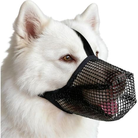 Muselière Chien, Musoliaire Chien, Muselières pour Chiens Anti-Grignotage, Muselières pour Chiens, Respirante et Réglables, pour Chienss Moyens et Grands (M, Noir) (1/5)