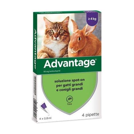 ANTIPARASSITARIO ADVANTAGE GATTI ELANCO - KG 4+ CF=PZ 4- 1 confezioni
