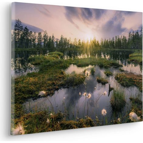 Komar Canvasbild Gloomy Swamps - 40 x 60 cm - Bild auf Keilrahmen - Naturmotiv (1/2)