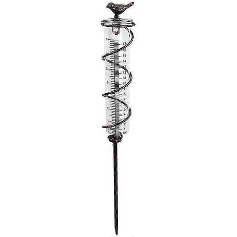 Pluviomètre à spirale en verre de grande capacité, pluviomètre suspendu en fonte en forme d'oiseau, pluviomètre de jardin avec cadre métallique (1/5)