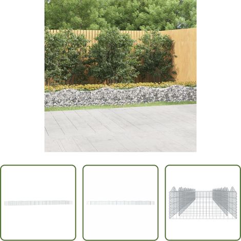 Gartengrab mit Hochbogen - Gabionen-Hochbeet mit Hochbogen 800x100x50 cm Verzinktes Eisen (1/5)