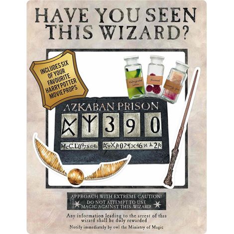 Figurine en carton Cadre à selfie Harry Potter Azkaban - blanc 87x70 CM (1/5)