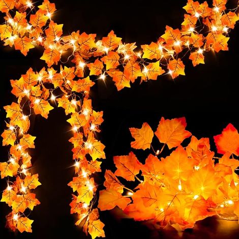 Deux couronnes d'automne illuminées, d'une longueur totale de 19,6 pieds, avec 40 guirlandes lumineuses LED d'automne. (1/5)