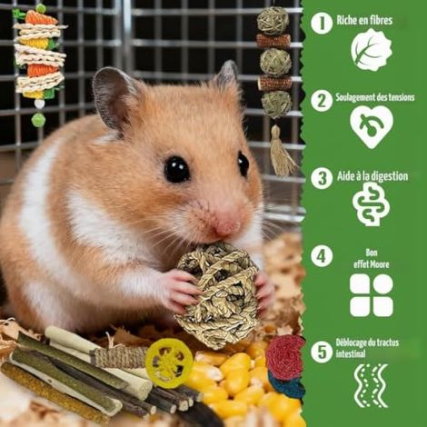 Jouets à Macher Lapin 19 Pièces, Bois Naturel et Foin pour Cage (1/3)