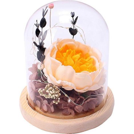 Lampe LED avec couvercle en verre, motif fleur éternelle, cadeau d'anniversaire pour petite amie, fête des mères, pivoine, hortensia jaune (1/5)