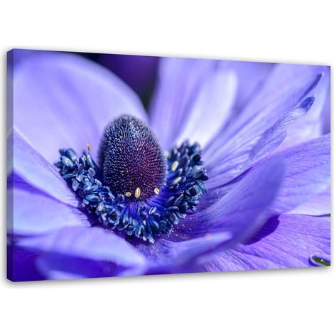 Tableau sur toile Nature Fleur Violet Violet 90x60 (1/5)